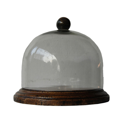 Glass and Wood Cake Jar with Round Holder