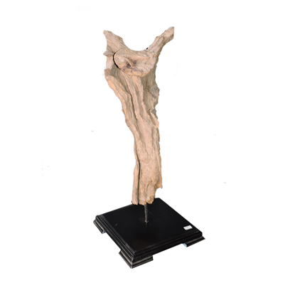 Abstract Wooden Decorative Object